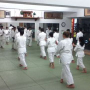 Yoshinkan Aikido