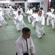 Yoshinkan Aikido