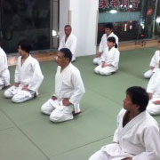 Yoshinkan Aikido