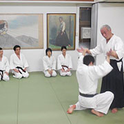 Yoshinkan Aikido