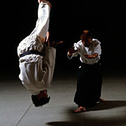 Yoshinkan Aikido