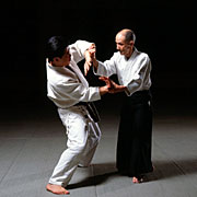 Aikido Yoshinkan 合気道養神館