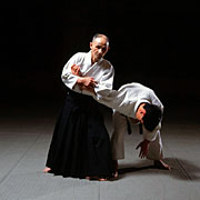 Aikido Yoshinkan 合気道養神館