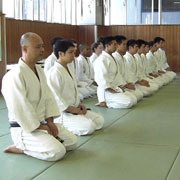Yoshinkan Aikido