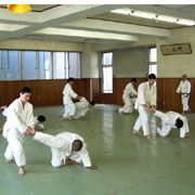 Yoshinkan Aikido