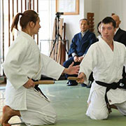 Yoshinkan Aikido