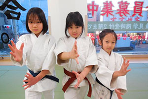 Aikido Yoshinkan 合気道養神館