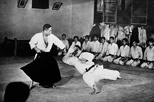 Aikido Yoshinkan 合気道養神館